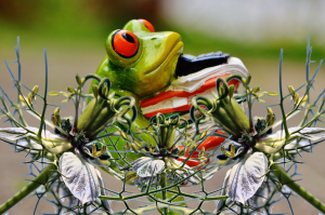 Frog carrying a stack of books through a garden of cumin.